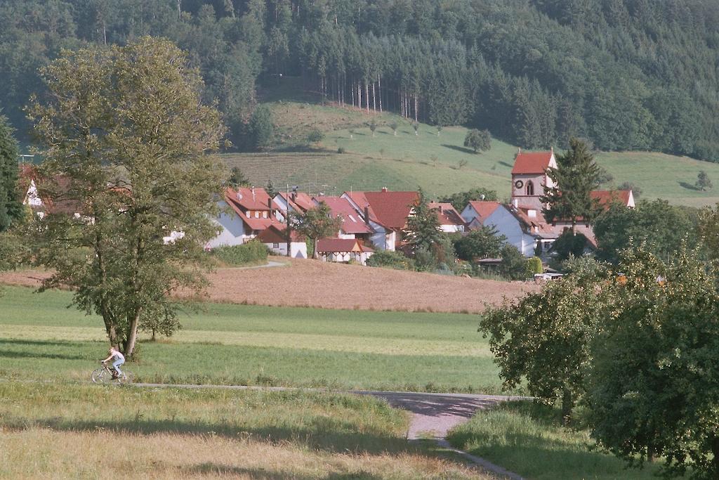 Landgasthof Ochsen Seelbach  Exterior photo